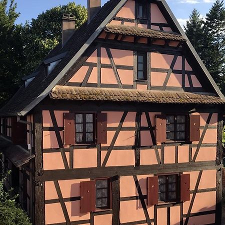 Maison Alsacienne Eschau Εξωτερικό φωτογραφία